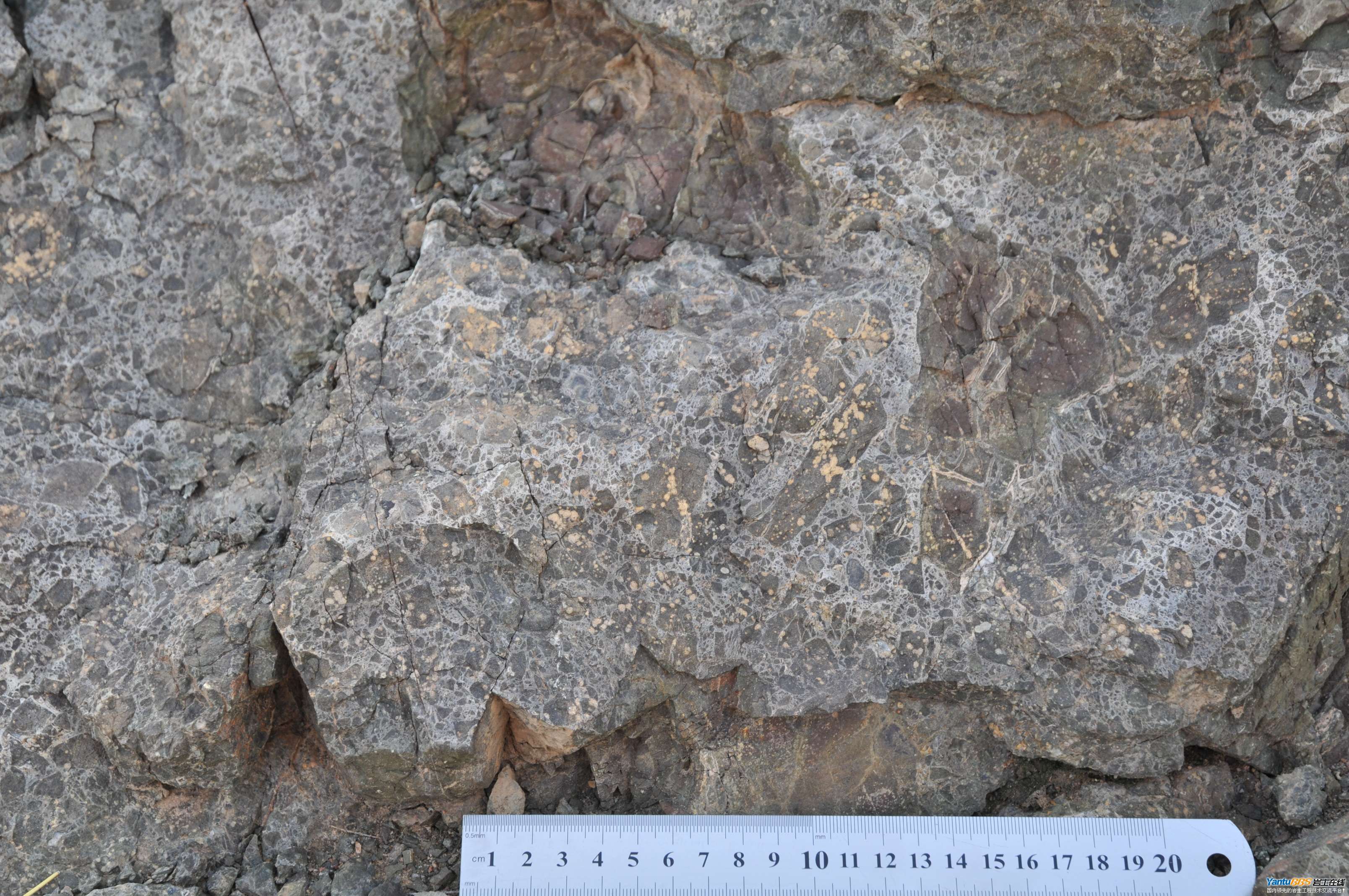 请教该火山碎屑岩是隐爆角砾岩吗