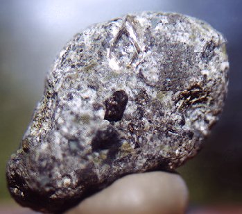 金伯利岩中的金刚石