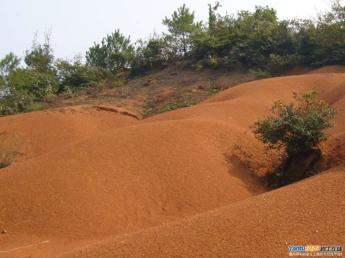 泥质粉砂岩风化照片