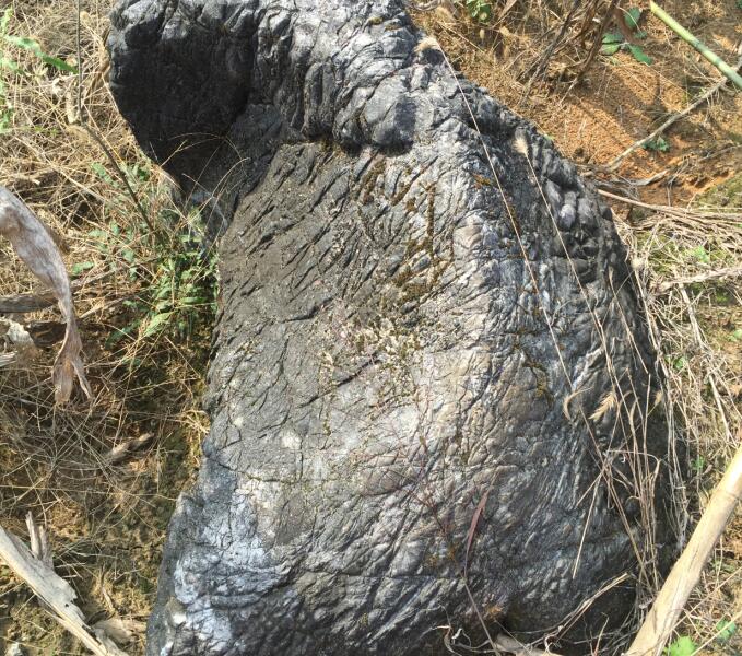 请继续判断白云岩的刀砍纹谢谢